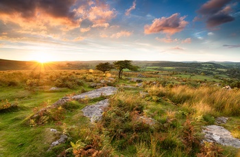 Sydengland Dartmoor