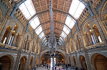 Inden for i Natural Museum i London, England