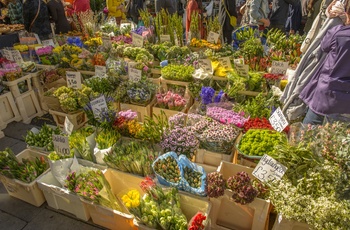Blomsterstand på Portobello marked i Notting Hill, London i England