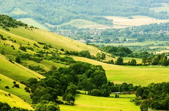 Det frodige landskab i South Downs Nationalpark, England