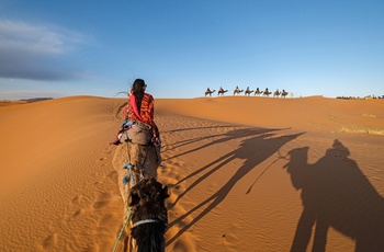 På kameltur i Erg Chebbi - ørkenområde nær Merzouga - Marokko