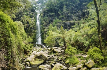 Vandfaldet Erskine Falls i Great Otway National Park - Victoria i Australien