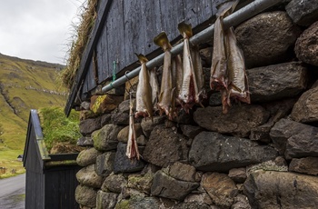 Færøerne_Fermenteret fisk