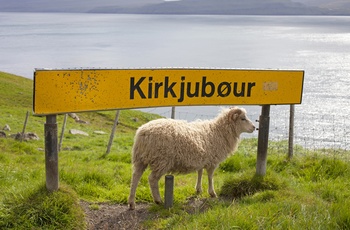 Velkommen til Kirkjubøur på øen Streymoy, Færøerne