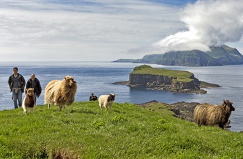 Får og vandrere på øen Vágar, Færøerne