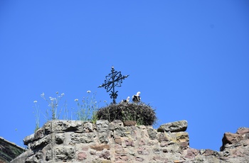 Eguisheim, Storke