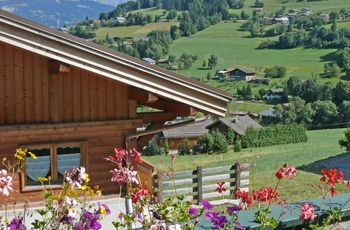 Alpeidyl ved bjergbyen Combloux i de franske Alper