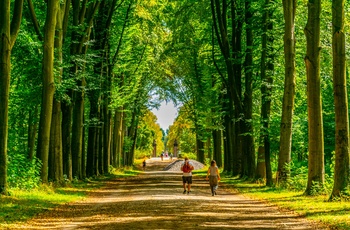 Slotsallenn gennem barokhave fra Augustusburg slottet til Falkenlust slottet - Brühl i Tyskland