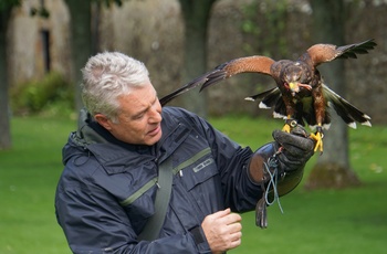 Falkoneren på Dunrobin Castle, Skotland