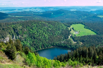 Udsigt fra Feldberg i Schwarzwald
