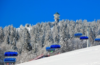 Feldberg i Schwarzwald