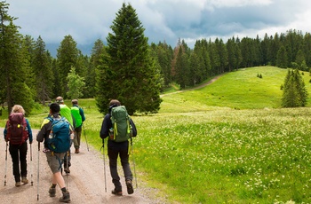 Feldberg i Schwarzwald