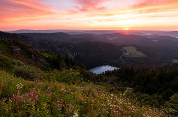 Feldberg søen i Schwarzwald