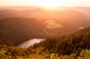 Feldberg søen i Schwarzwald