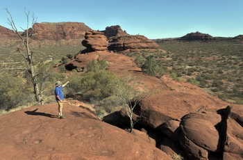 Turist nyder udsigten i Finke Gorge National Park, Northern Territory