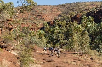 Finke Gorge National Park Palm Valley, Northern Terrirory