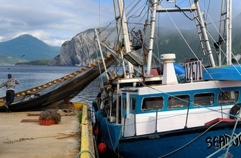 Fiskebåd i kystbyen Norris Point på Newfoundland - Canada