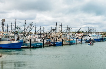 Fiskerbåde i Port Lincoln - South Australia