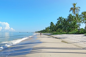 Strand ved kystbyen Naples i det vestlige Florida