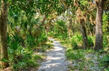 Myakka River State Park ved byen Sarasota i det vestlige Florida