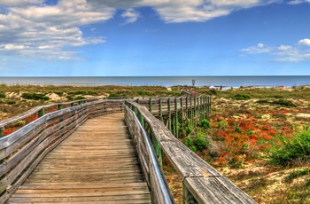 Nassau County Burney Park Beach på Amelia Island, Florida