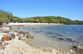 Strand i John Pennekamp Coral Reef State Park i Florida, USA