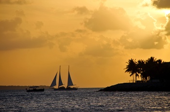 Solnedgang fra Key West, Floroda