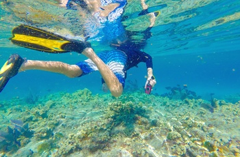 Snorkling ved The Keys i Florida, USA