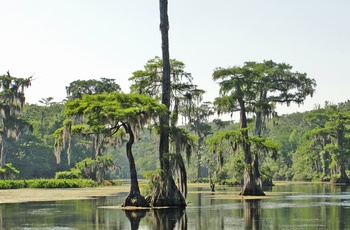 Wakulla Springs - ferskvandskilder og frodig natur - Florida i USA