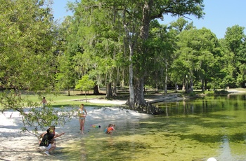Wakulla Springs - lille strand til at bade i - Florida i USA