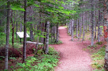 Foto - © Beothuk Interpretation Centre - Newfoundland