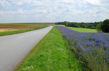 Frankrig, Pikarkiet - et vue langs den charmerende Chemin des dames
