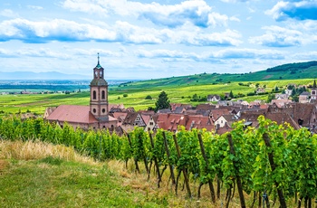 Udsigt fra vinmarkerne til byen Riquewihr i Alsace, Frankrig