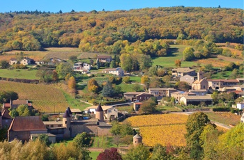 Chasselas i Bourgogne