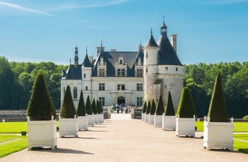 Alleen op til slottet Chateau de Chenonceau i Loiredalen, Frankrig