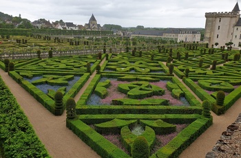 Ornamenteret have ved slottet Château Villandry i Loiredalen, Frankrig