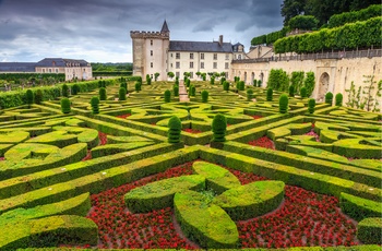 Smukke symmetriske haver ved slottet Château Villandry i Loiredalen, Frankrig