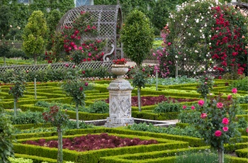 Dekorativ have ved slottet Château Villandry i Loiredalen, Frankrig