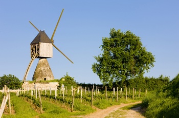 Gammel vindmølle i en vinmark i Loiredalen, det nordvestlige Frankrig