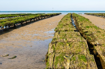 Østersfarm på Utah Beach i Normandiet, Frankrig