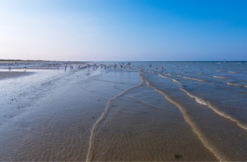 Utah Beach i Normandiet, Frankrig