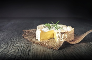 Osten camembert fra Normandiet i Nordfrankrig