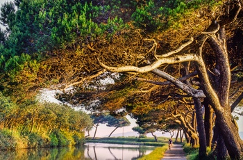 Canal du Midi