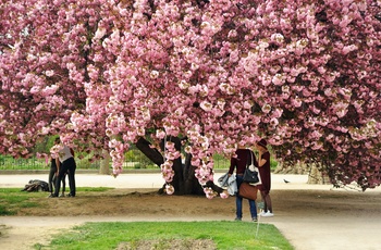 Jardin des Plantes, Botanisk have i Paris