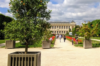 Jardin des Plantes, Botanisk have i Paris