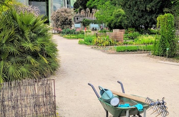 Jardin des Plantes, Botanisk have i Paris