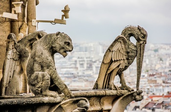 Magiske gargoiler på toppen af Notra-Dame i Paris