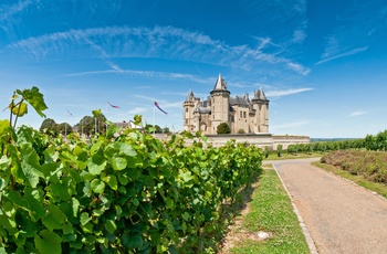 Saumur slot omgivet af vinmarker, det nordvestlige Frankrig