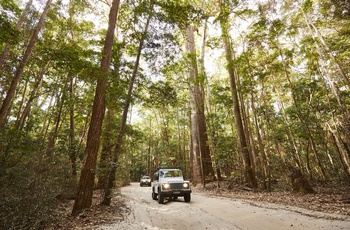 4WD i regnskoven på Fraser Island 