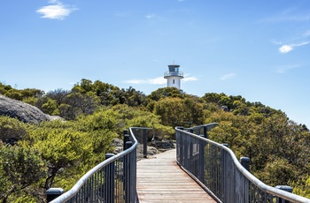 Cape Tourville Lighthouse i Freycinet National Park på Tasmanien